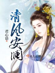 清风安澜封面