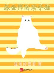 炼金师的助手猫封面