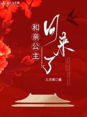 和亲公主回来了封面