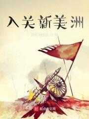入关新美洲封面