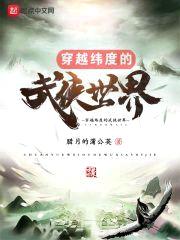 穿越纬度的武侠世界封面