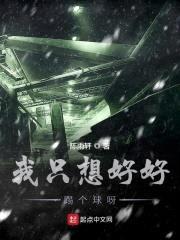 我只想好好踢个球呀封面