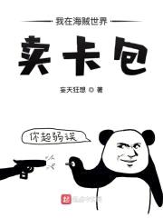 我在海贼世界卖卡包封面