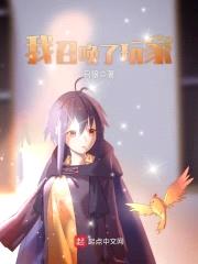 我召唤了玩家封面
