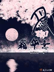 月落不知霜华意封面