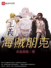 海贼朋克封面
