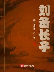 刘备长子封面