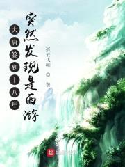 大唐签到十八年突然发现是西游封面