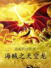 海贼之天空龙封面