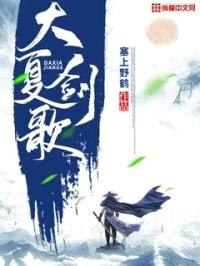 大夏剑歌封面