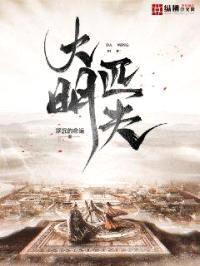 大明匹夫封面