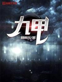 九甲封面