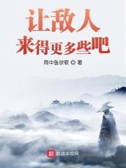 让敌人来得更多些吧封面