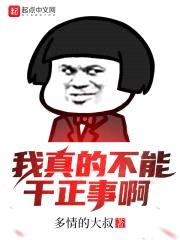 我真的不能干正事啊封面