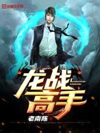 龙战高手封面