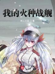 我的火种战舰封面