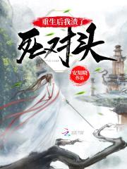 锦书雁回封面