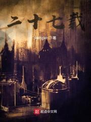 二十七载封面