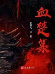 无上乘传封面
