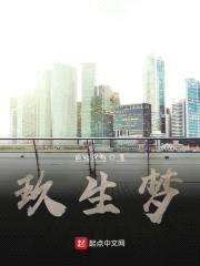 玖生梦封面