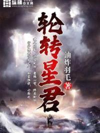 轮转星君封面