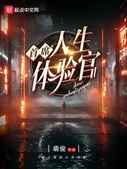 首席人生体验官封面