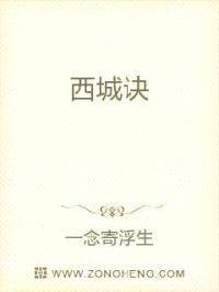 西城诀封面