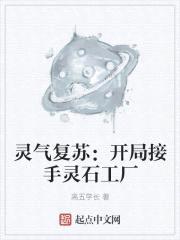 灵气复苏：开局接手灵石工厂封面