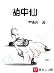 葫中仙封面