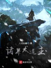 诸界大道主封面