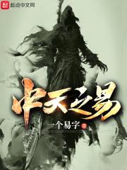 中天之易封面