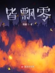 皆飘零封面