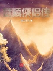 武陵侠侣传封面