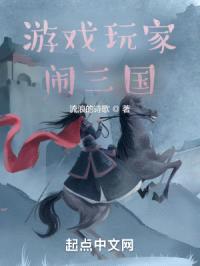 游戏玩家闹三国封面