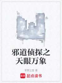 邪道侦探之天眼万象封面