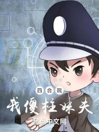 四合院我傻柱妹夫封面