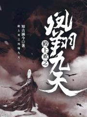 殿上欢之凤翔九天封面