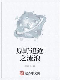 原野追逐之流浪封面