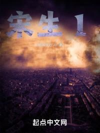 宋生1封面