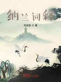 纳兰词封面