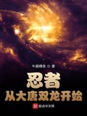 忍者从大唐双龙开始封面