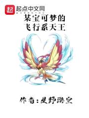 某宝可梦的飞行系天王封面