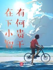 在下小智，有何贵干封面