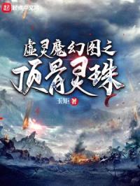 顶骨灵珠封面
