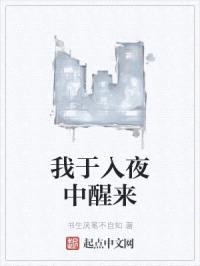 我于入夜中醒来封面