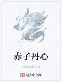 赤子丹心封面