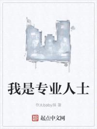 我是专业人士封面