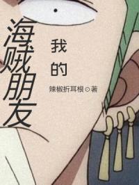 我的海贼朋友封面