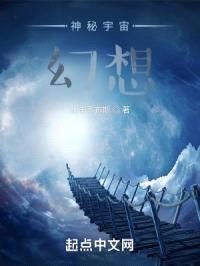 意念，概念之神封面