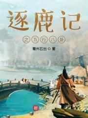 逐鹿记之五行八卦封面